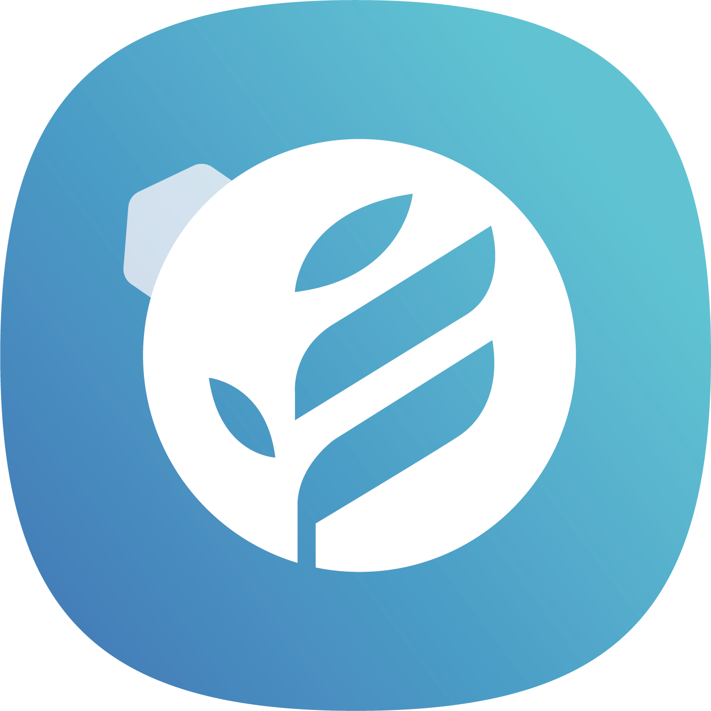 数叶科技：足球行业数字化平台