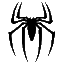 黑蜘蛛网络