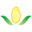 冰稻夫大米