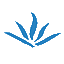 WXTNet