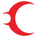 长春大都市【新闻资讯