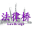 公司法律师
