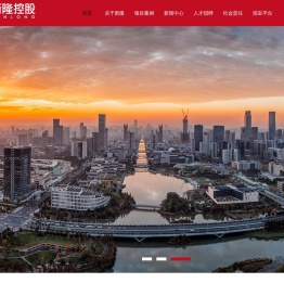 新隆控股有限公司