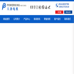 扬州大劲电机制造有限公司
