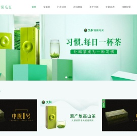 信阳文新茶叶
