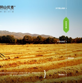 内蒙古阴山优麦食品有限公司