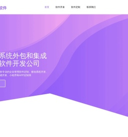 上海软件开发公司