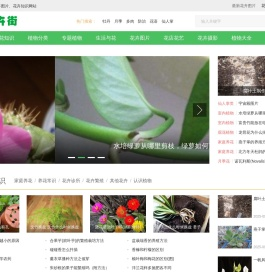 花卉街