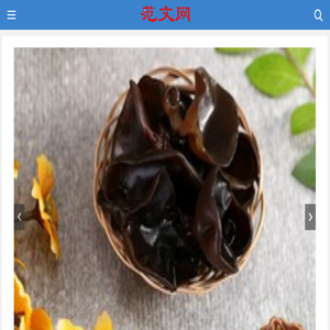 赤云范文网