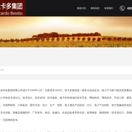 江苏里卡多集团