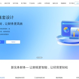 新实务财务软件