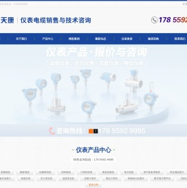 天康仪表