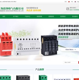 SPD后备保护器