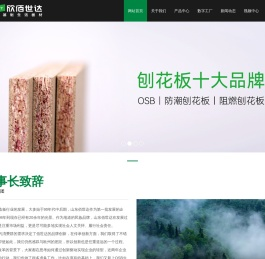 山东佰世达集团
