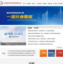 有色金属技术经济研究院有限责任公司