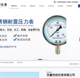 不锈钢耐震压力表