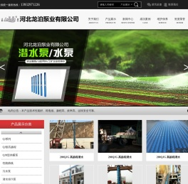 河北龙泊泵业有限公司