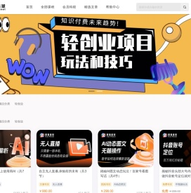 跳蚤星球