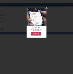 交通违章查询