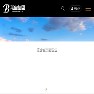 莱宝科技集团有限公司