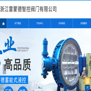 浙江雷蒙德智控阀门有限公司
