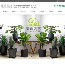 成都绿植花卉租赁