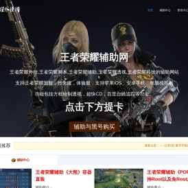王者荣耀外挂辅助网