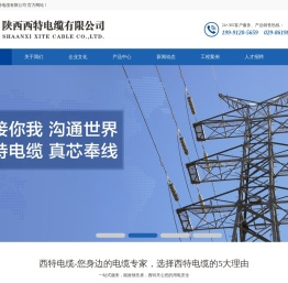 陕西西特电缆有限公司