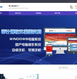 审计通