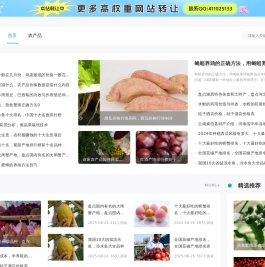 农产品价格行情信息