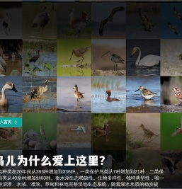 衡水湖旅游景区【官方网站】