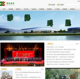 锦宸集团有限公司