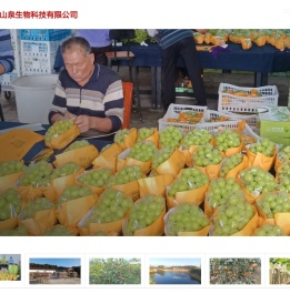 南京山泉生物科技有限公司