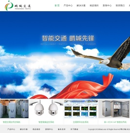 深圳市鹏城交通网络股份有限公司