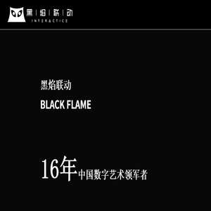 成都黑焰联动科技有限公司