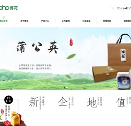博花蒲公英,蒲公英茶