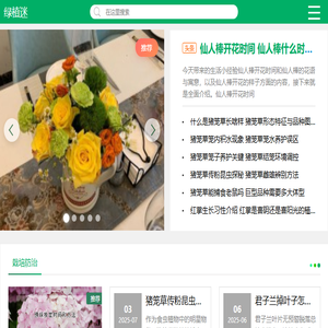 绿植迷