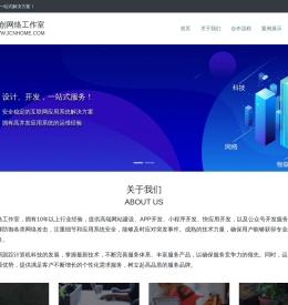 专业网站建设