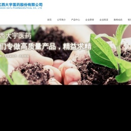 江西大宇医药股份有限公司