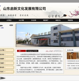 山东启新文化发展有限公司
