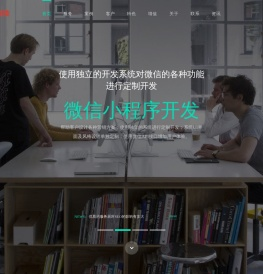 全国系统开发