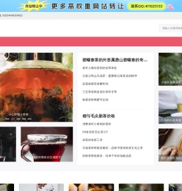 茶网