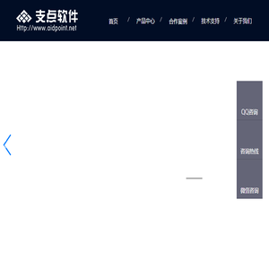 成都支点软件有限公司