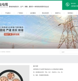 四川三电电缆有限公司