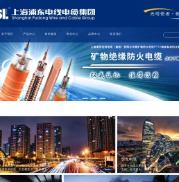 上海浦东电线电缆（集团）有限公司