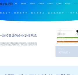 浪子易支付