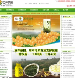 日照绿茶