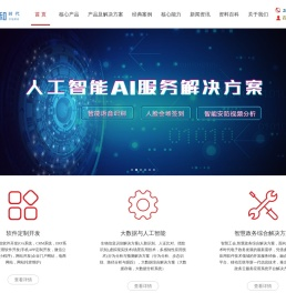 软件定制开发
