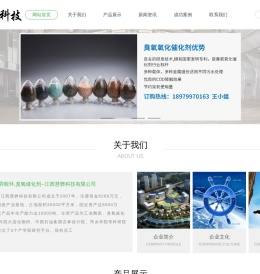 矩鞍环,阶梯环,异鞍环,臭氧催化剂
