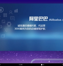 阿里巴巴代运营